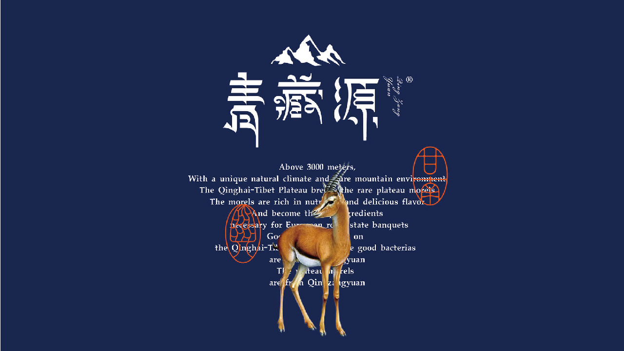 未标题-1-12.jpg