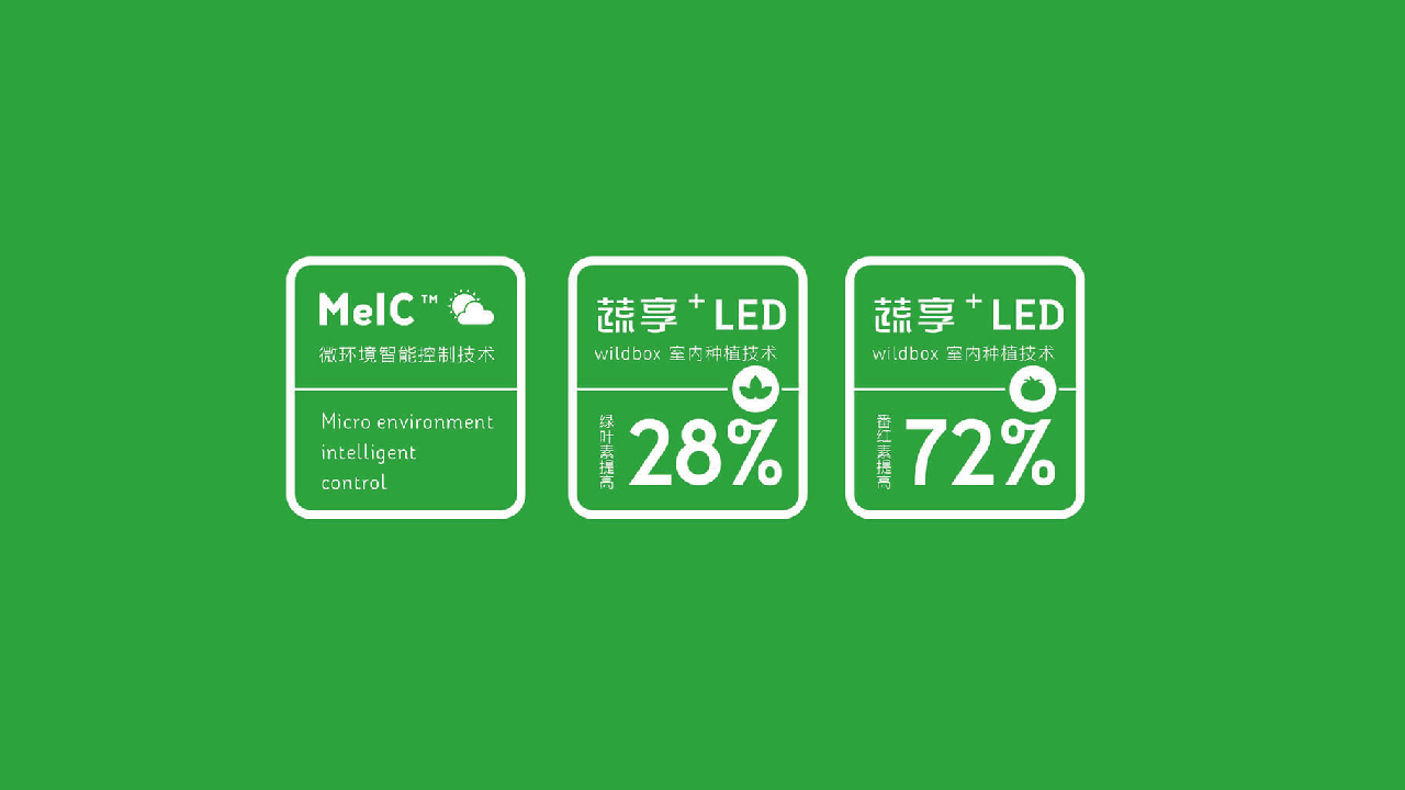 未标题-1-10.jpg